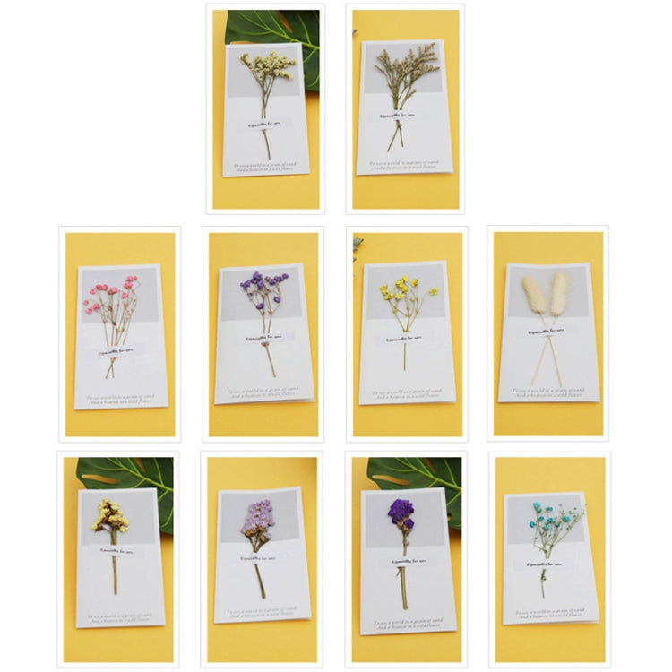 10 PCS Festival Creative Fresh Dried Flowers Handwritten Greeting Card Birthday Card