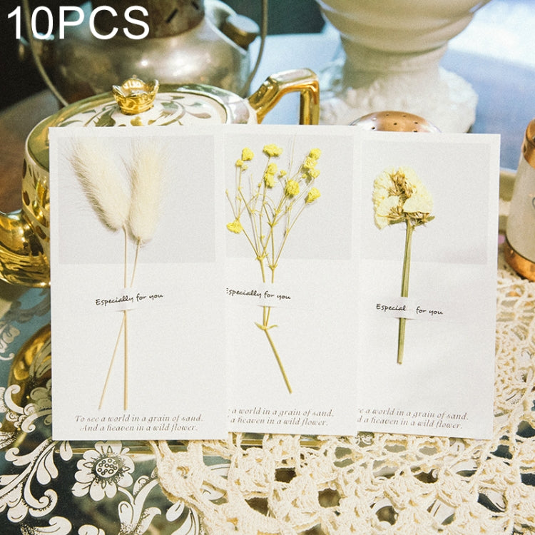 10 PCS Festival Creative Fresh Dried Flowers Handwritten Greeting Card Birthday Card