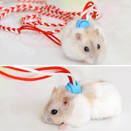 Pet Multicolor Hand Made Weaving Hamster Dual Purpose Traction Rope for Small Pets, Length: 1.4m, Random Color Delivery