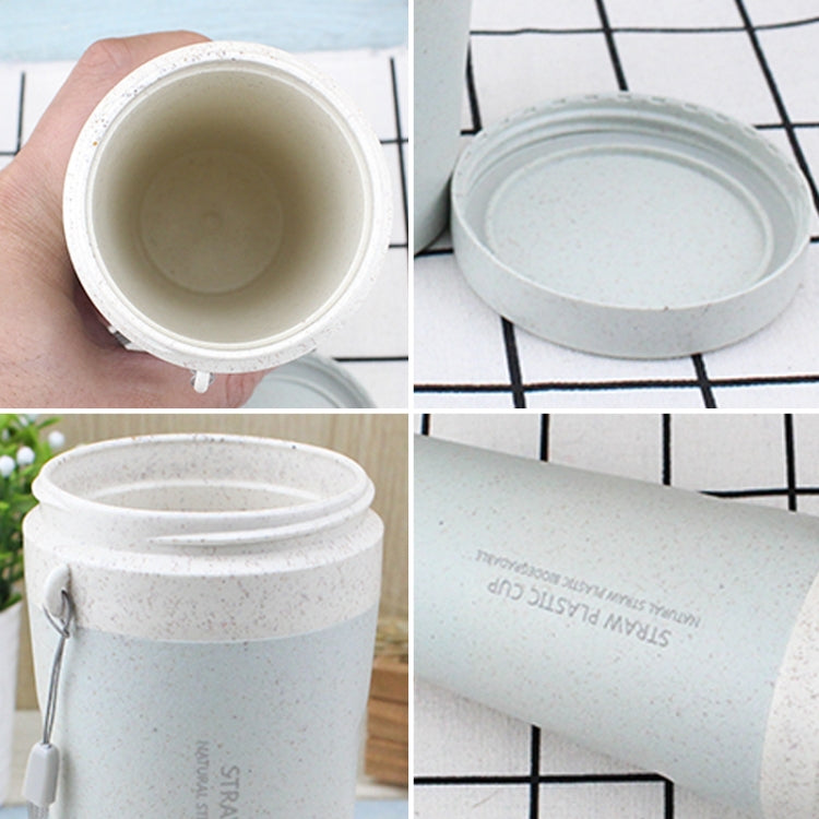 300ml  Wheat Straw Cellulose Made Leak Proof Double Layer Water Bottle With Handle Strap