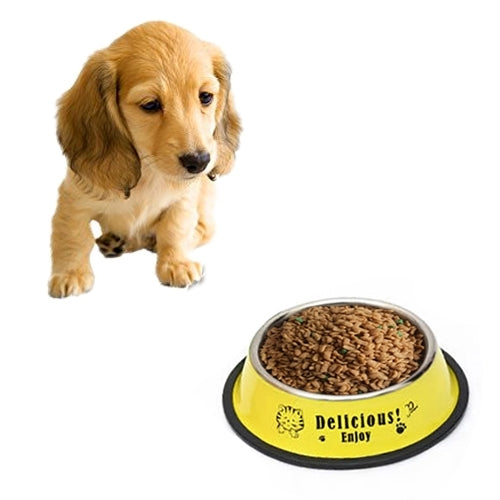 Stainless Steel Bowls, Anti-slip Colorful Paint Printed Pets Bowls, Bowl Diameter: 13 cm, Bowl Bottom Diameter: 17.7 cm