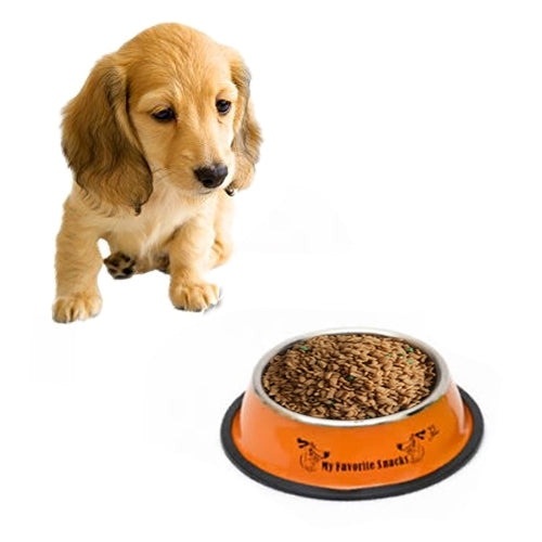 Stainless Steel Bowls, Anti-slip Colorful Paint Printed Pets Bowls, Bowl Diameter: 25.5 cm, Bowl Bottom Diameter: 32.5 cm