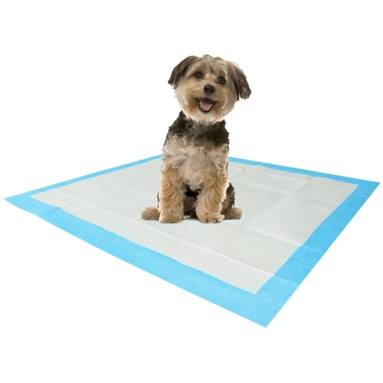 40 PCS Super Absorbent Pet Deodorant Antibacterial Nappy Urine Pad Diapers, L, Size: 60.0 x 60.0cm