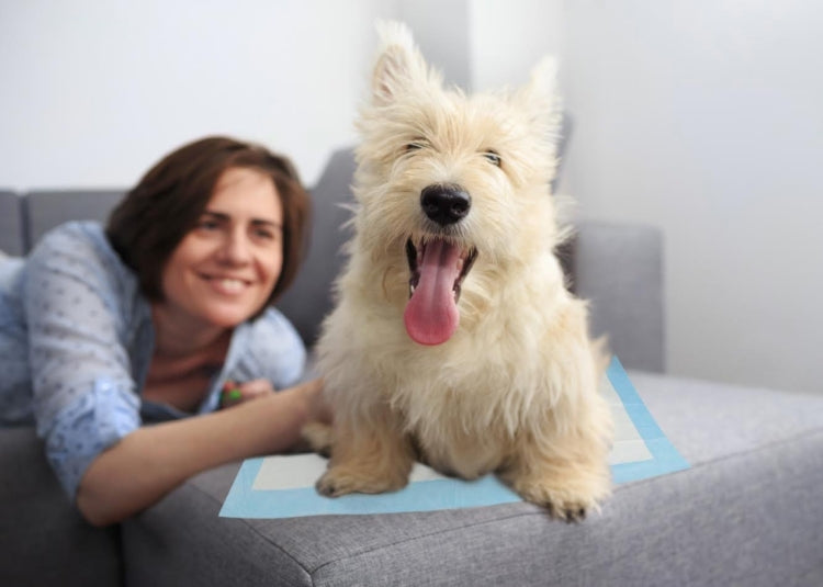 40 PCS Super Absorbent Pet Deodorant Antibacterial Nappy Urine Pad Diapers, L, Size: 60.0 x 60.0cm