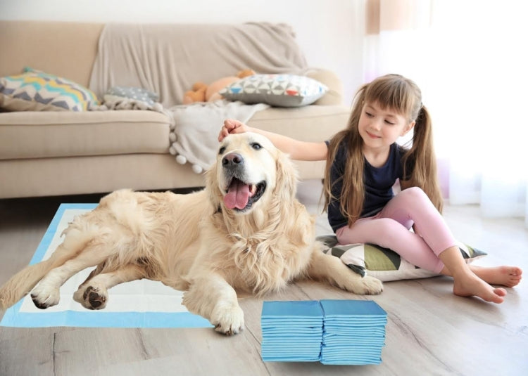 100 PCS Super Absorbent Pet Deodorant Antibacterial Nappy Urine Pad Diapers, S, Size: 33.0 x 45.0cm