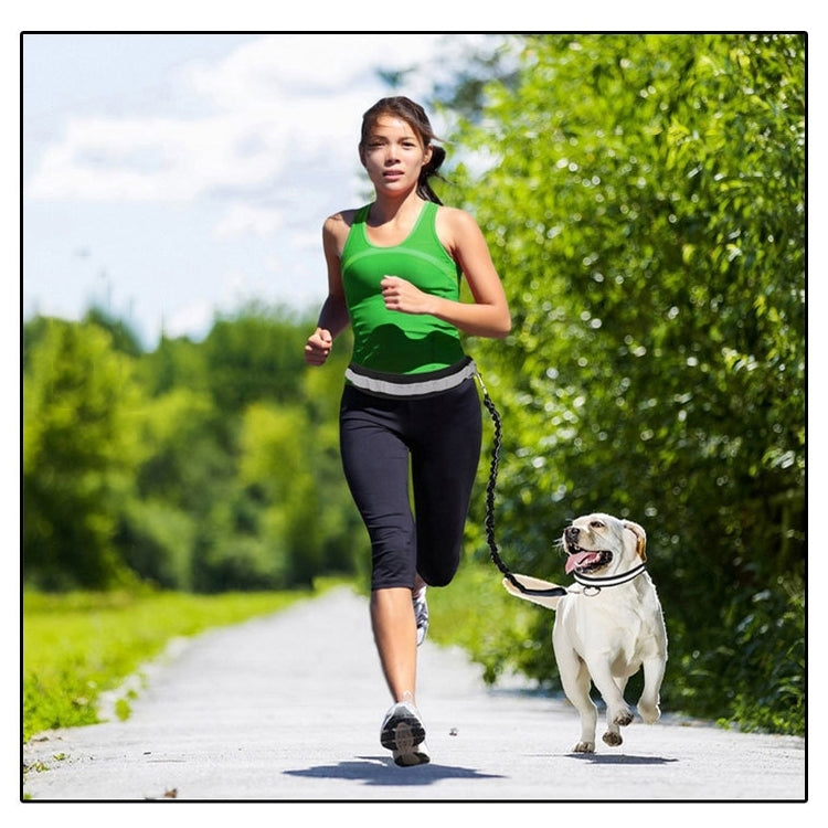 Retractable Pet 4 Pieces Set Dog Running Traction Waist Bag Dog Lead Non-Slip Pet Traction Rope, Rope length: 144cm, Waist: 78-100cm