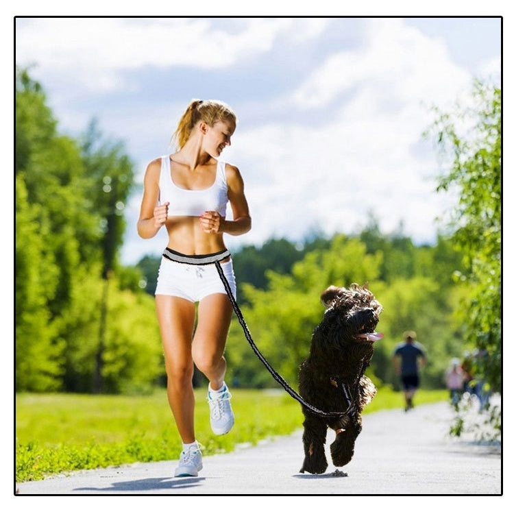 Retractable Pet 4 Pieces Set Dog Running Traction Waist Bag Dog Lead Non-Slip Pet Traction Rope, Rope length: 144cm, Waist: 78-100cm