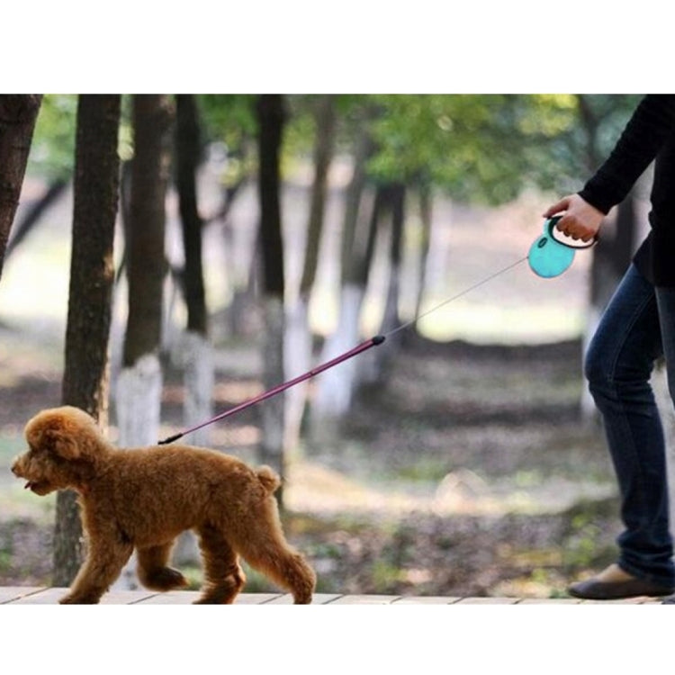 Pet Retractable Leash Automatic Extending Pet Walking Leads, Length: 3m