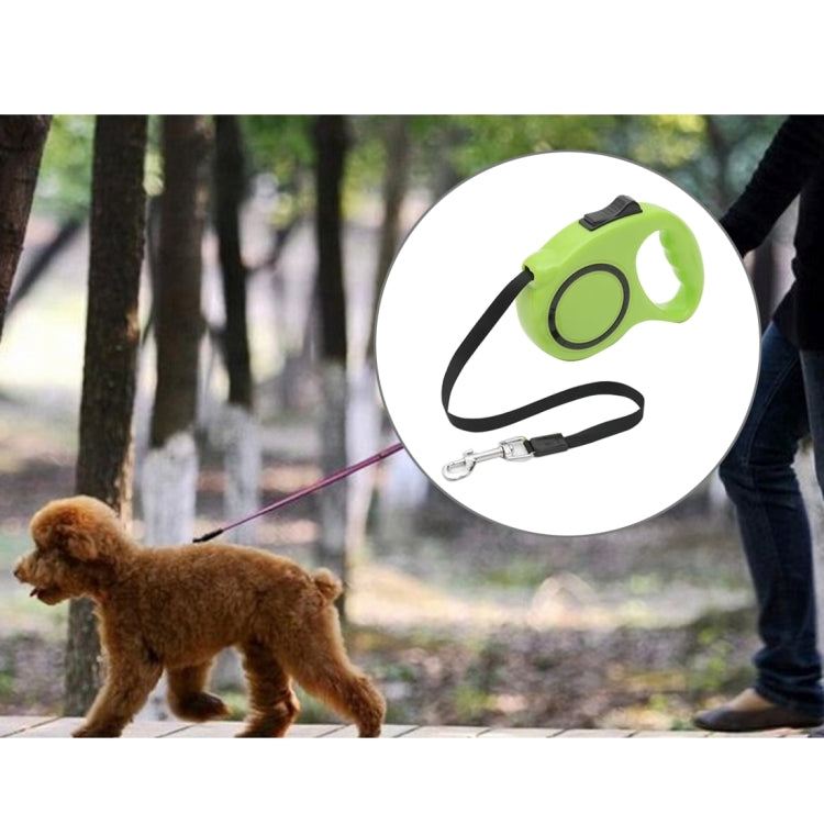Pet Retractable Leash Automatic Extending Pet Walking Leads, Length: 5m
