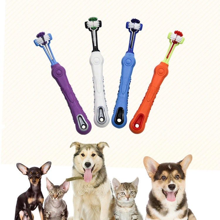 YINGTE Three-toothbrush for Pets