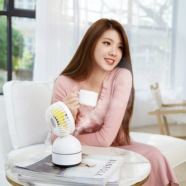 Qiwan Multi-function Portable Mini Spray Moisturizing Humidification USB Desktop Fan with 3 Speed Control (White)