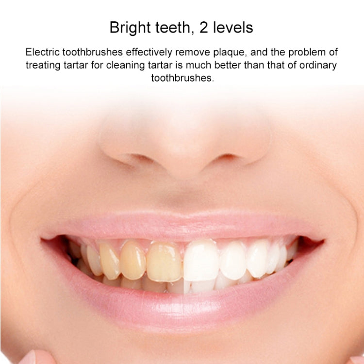 H9 Waterproof USB Charging Oral Cleaning Acoustic Wave Electric Toothbrush