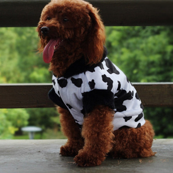 New Autumn and Winter Style Teddy Cow Pattern Pet Dog Cotton Garment Size: M, Bust: 52-59cm, Neck: 33-37cm
