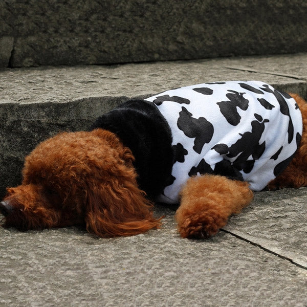 New Autumn and Winter Style Teddy Cow Pattern Pet Dog Cotton Garment Size: M, Bust: 52-59cm, Neck: 33-37cm