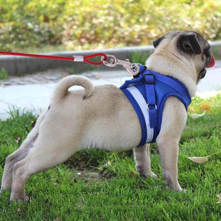 Double-end Steel Wire Rope Pet Dogs 2 in 1 Traction Rope Pet Walking Leads With Handle, Length: 10m,Random Color Delivery