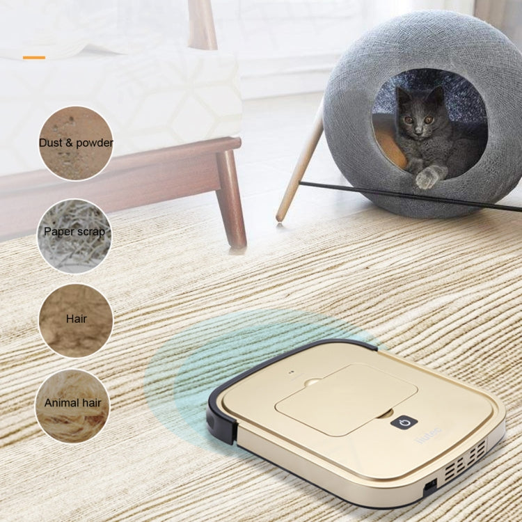 iiutec R-Cruiser Ultra Slim Vacuum Cleaner Household Cleaning Robot with Remote Control
