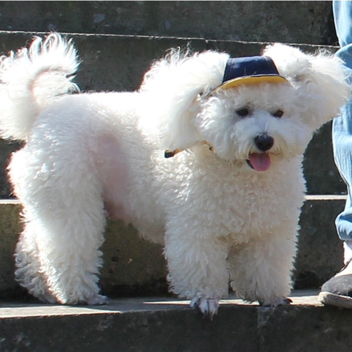 Denim Travel Pet Hat Outdoor Sports Breathable Hat Adjustable, Size: S