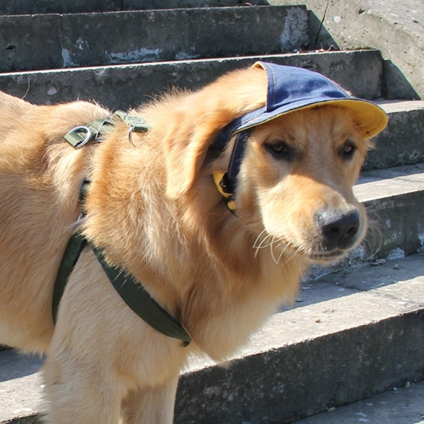 Denim Travel Pet Hat Outdoor Sports Breathable Hat Adjustable, Size: L