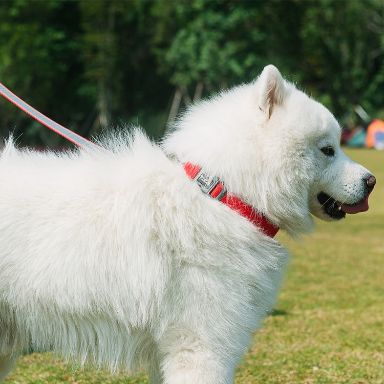 Tuffhound 1427 Nylon + Submersible + Reflector Bar Adjustable Dog Collar, Adjustable Range: 1.5x(23-30)cm,Size:XS