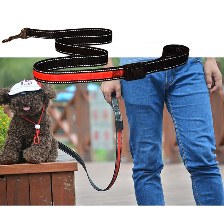 1.2m Medium and Large Dog Pet Solar + USB Charging LED Light Traction Rope, Sizeï¼š120cm
