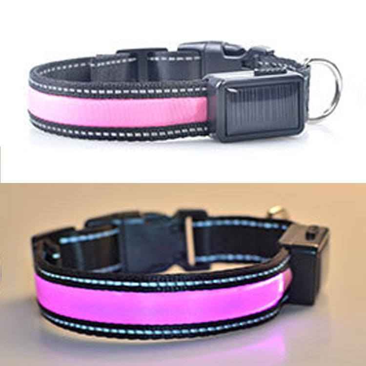 Medium and Large Dog Pet Solar + USB Charging LED Light Collar, Neck Circumference Size: M, 40-50cm