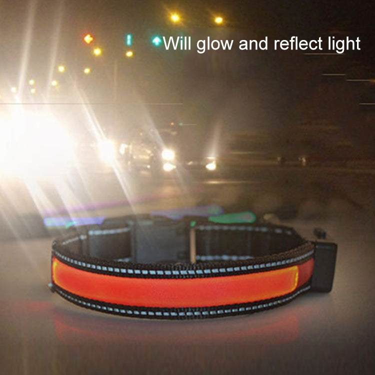 Medium and Large Dog Pet Solar + USB Charging LED Light Collar,