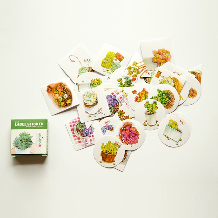 3 Boxes Succulent Plants Pattern Cartoon Decorative Sticker
