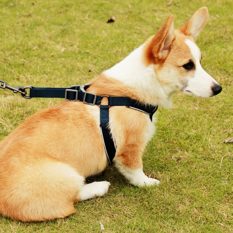 Tuffhound 1608 Adjustable Dog Harness Lead Leash,Size:L, 2.5x120cm