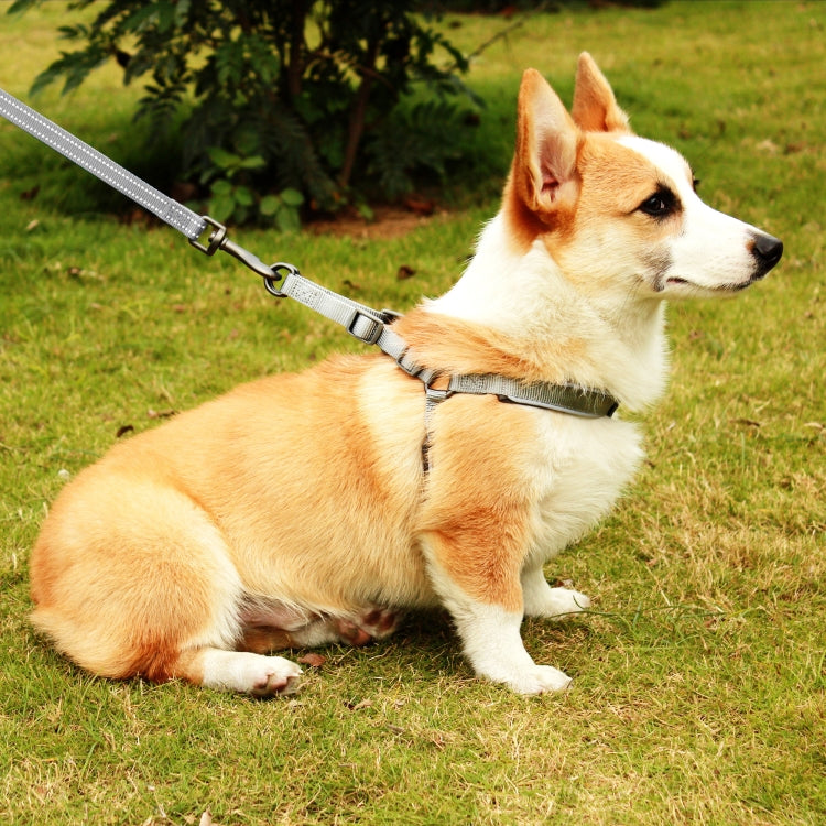Tuffhound 1608 Adjustable Dog Harness Lead Leash,Size:L, 2.5x120cm