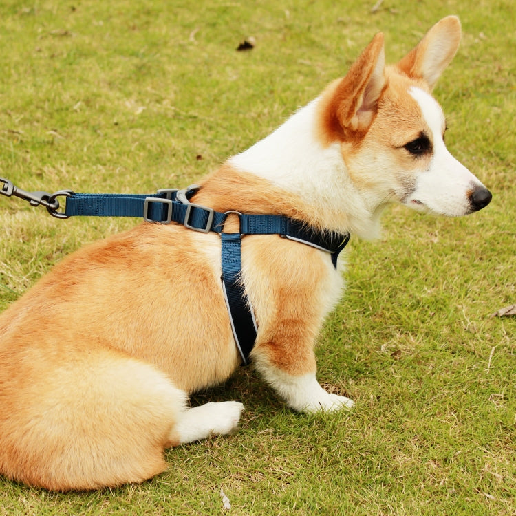 Tuffhound 1608 Adjustable Dog Harness Lead Leash,Size:L, 2.5x120cm