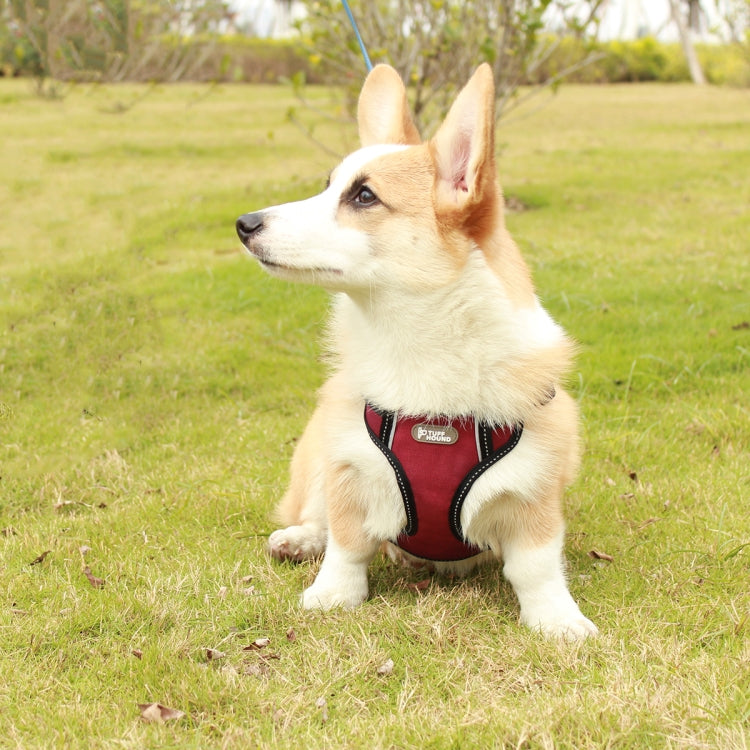 Tuffhound 1619 Adjustable Dog Harness Lead Leash Collar Belt,Size:L, 2.5x(61-86)cm