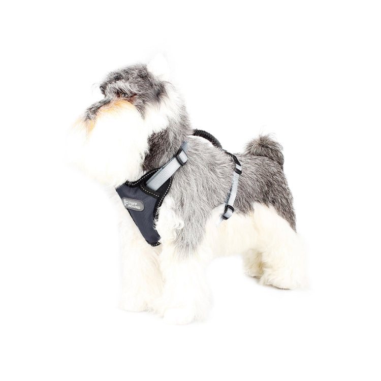 Tuffhound 1639 Dog Harness Lead Leash Collar Belt,Size:S, 1.5x(33-52;42-54)cm (Black Grey)