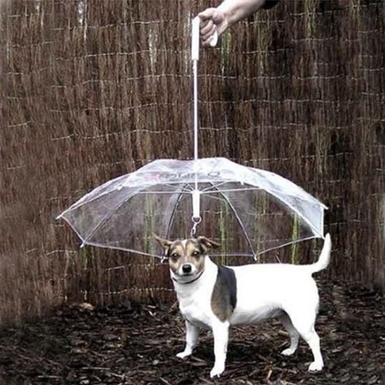 Fashion Transparent PE Pet Umbrella Small Dog Umbrella Rain Gear with Dog Chain