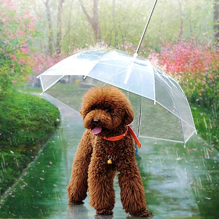 Fashion Transparent PE Pet Umbrella Small Dog Umbrella Rain Gear with Dog Chain