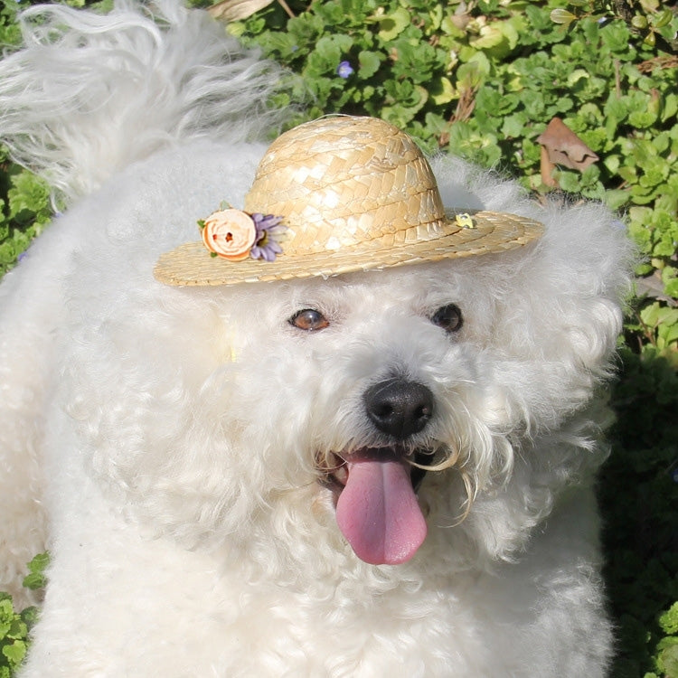 Outdoor Walking Pet Straw Hat,