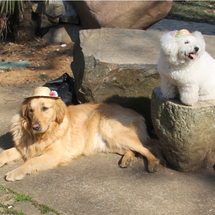 Outdoor Walking Pet Straw Hat,