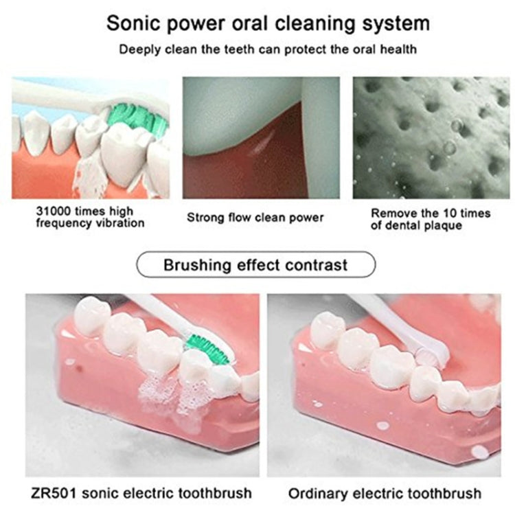 5 Cleaning Modes IPX7 Waterproof USB Charger Ultrasonic Electric Toothbrush