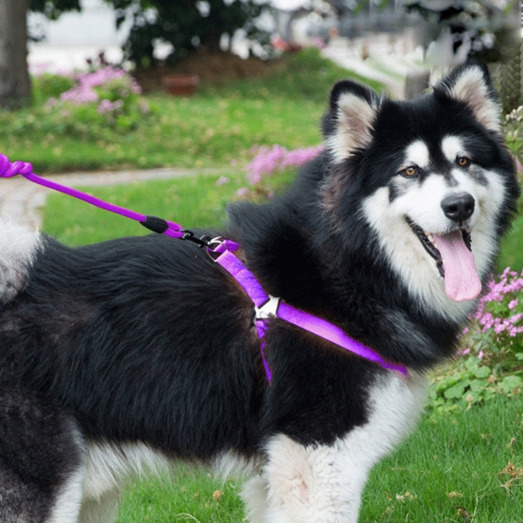 Pet Dog Collar + Harness + Leash Three Sets, M, Harness Chest Size: 43-67cm, Collar Neck Size: 33-52cm, Pet Weight: 15kg Below