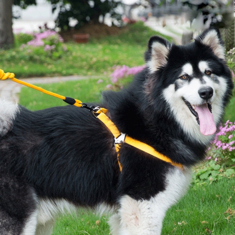 Pet Dog Collar + Harness + Leash Three Sets, M, Harness Chest Size: 43-67cm, Collar Neck Size: 33-52cm, Pet Weight: 15kg Below