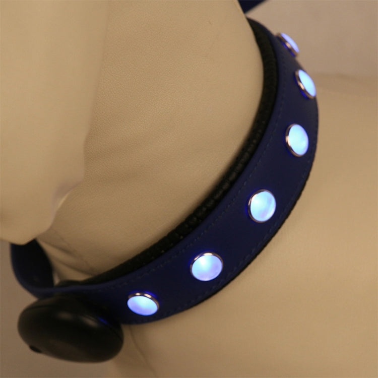 PVC Material Waterproof LED Light Adjustable Collar USB Rechargeable Pet Dogs Collar, Collar Size: 60*2.5 cm