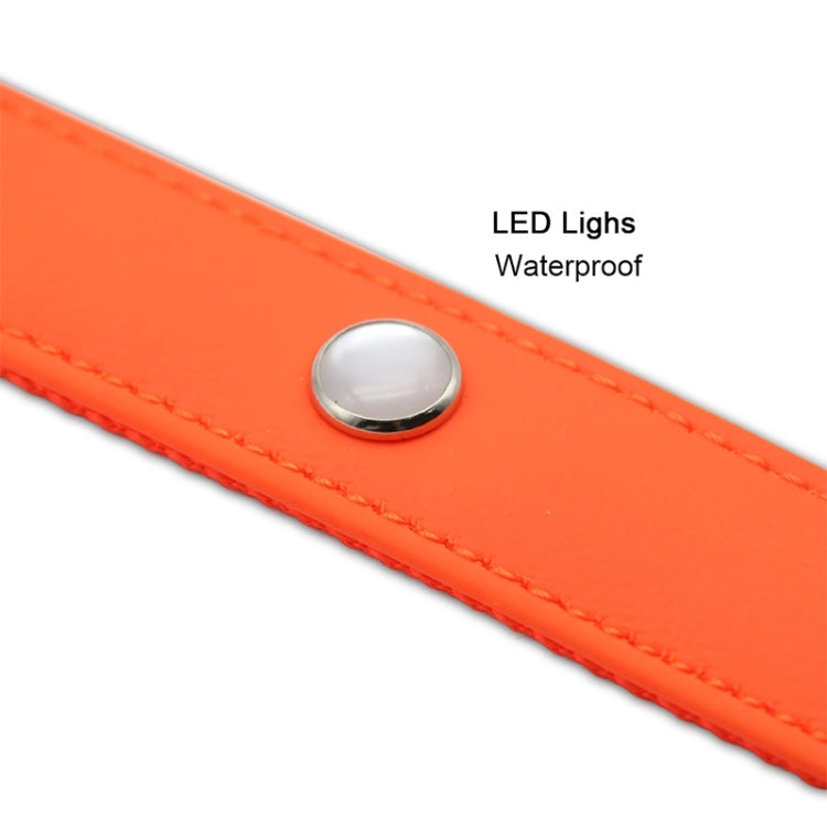 PVC Webbing Material Waterproof LED Light Traction Belt Pet Dogs Traction Rope with Handle, Suitable For Medium and Large Dogs, Rope Length: 120 cm