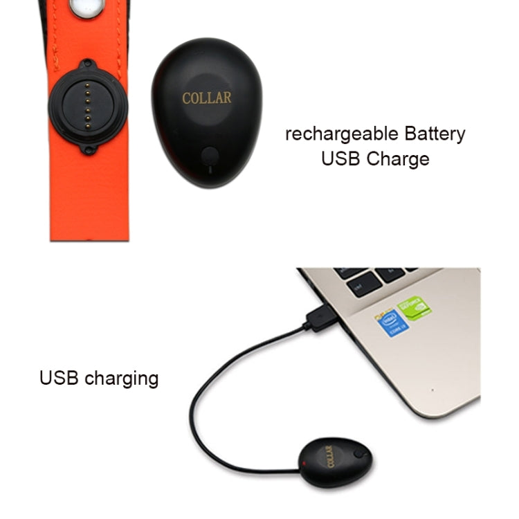 PVC Material Waterproof LED Light Adjustable Collar USB Rechargeable Pet Dogs Collar, Collar Size: 65*2.5 cm