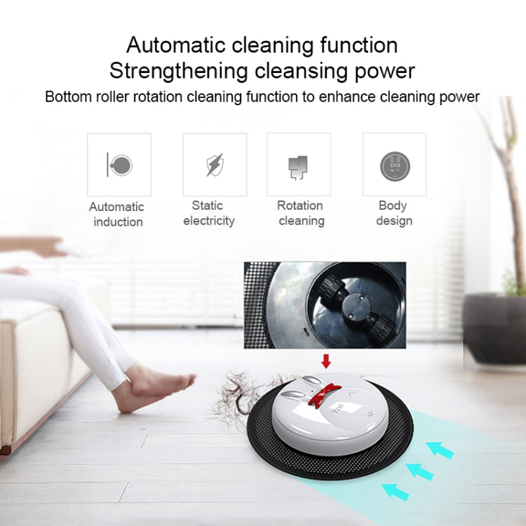 FD-RMS(A) Smart Household Sweeping Cleaner Mopping Robot