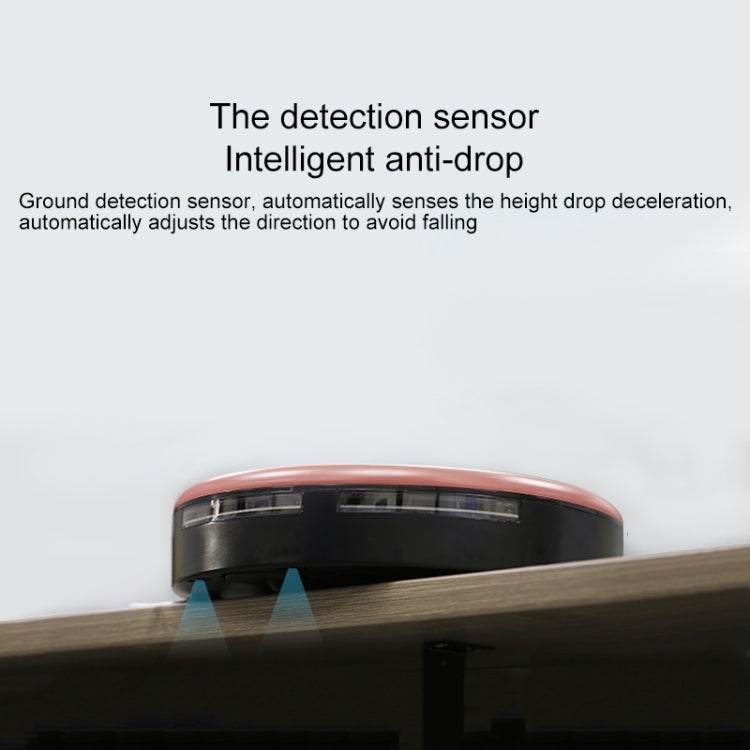 FD-RSW(E) Smart Household Sweeping Machine Cleaner Robot