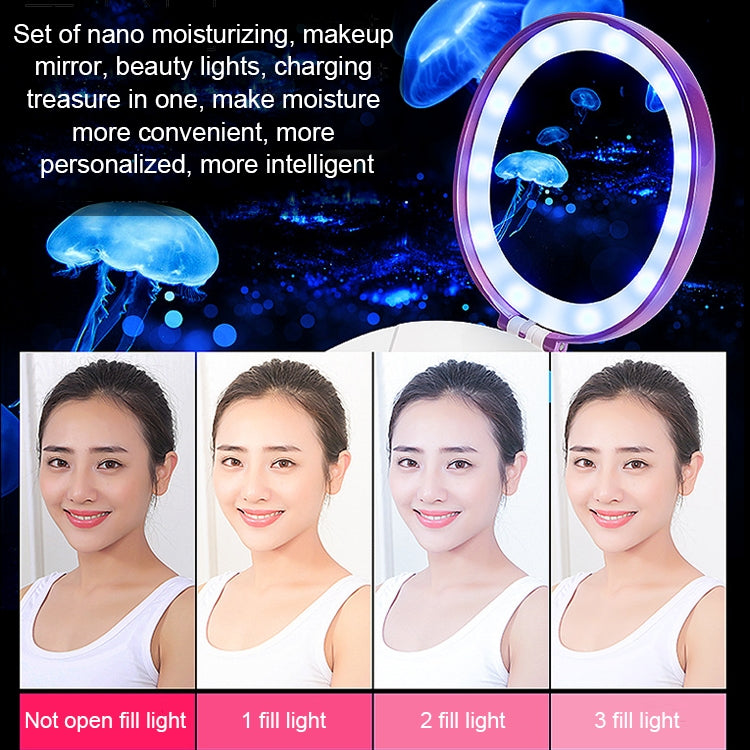 4 in 1 Portable Nano Mist Beauty Facial Cool Sprayer Face Steaming Device Automatic Alcohol Sprayer with Makeup Mirror & LED Beauty Light & Mobile Charger Function