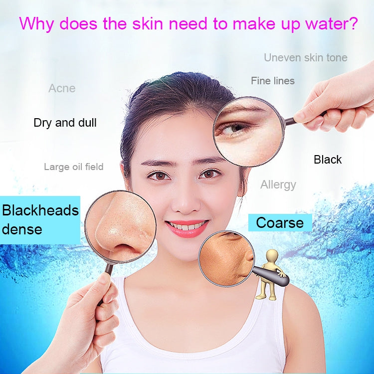 4 in 1 Portable Nano Mist Beauty Facial Cool Sprayer Face Steaming Device Automatic Alcohol Sprayer with Makeup Mirror & LED Beauty Light & Mobile Charger Function