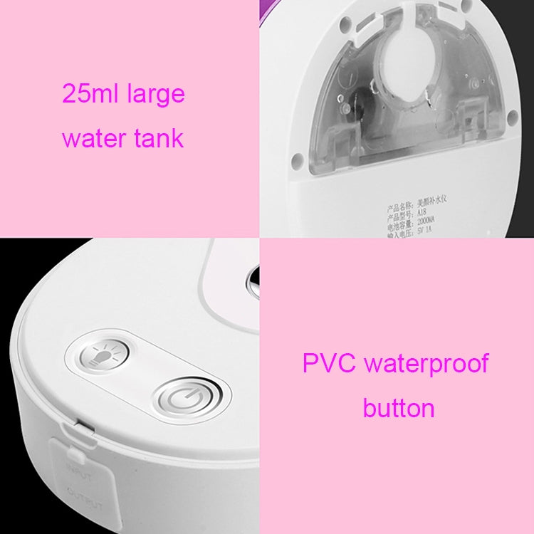 4 in 1 Portable Nano Mist Beauty Facial Cool Sprayer Face Steaming Device Automatic Alcohol Sprayer with Makeup Mirror & LED Beauty Light & Mobile Charger Function