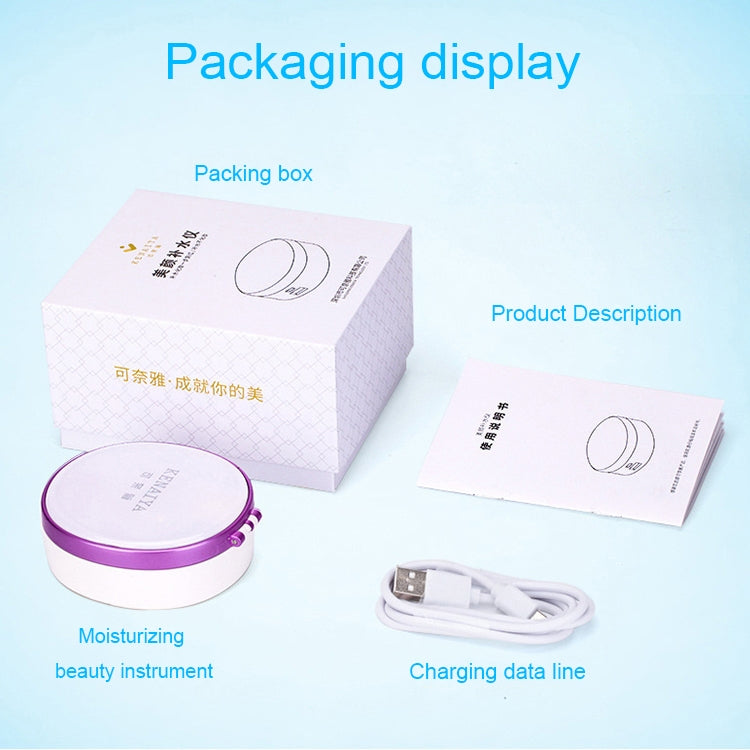4 in 1 Portable Nano Mist Beauty Facial Cool Sprayer Face Steaming Device Automatic Alcohol Sprayer with Makeup Mirror & LED Beauty Light & Mobile Charger Function