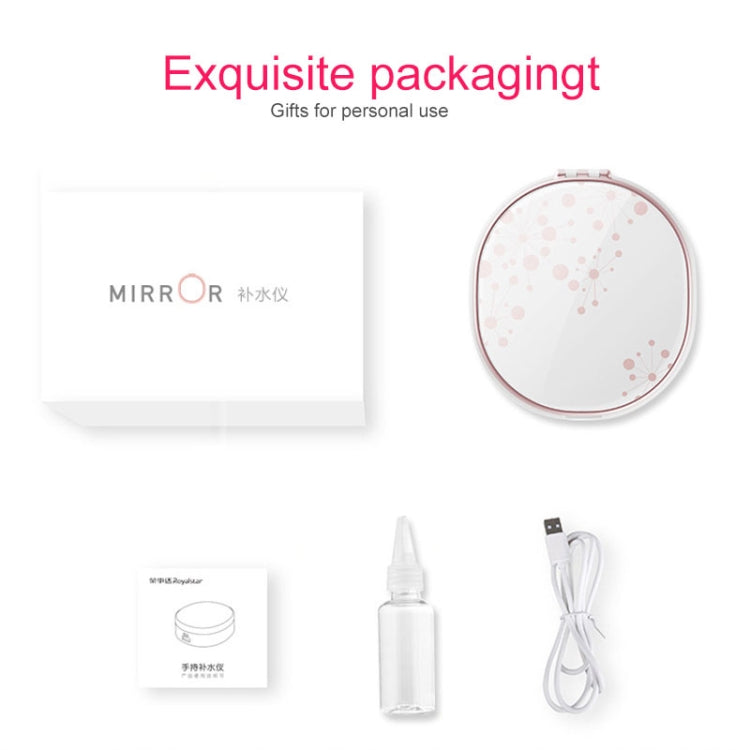 Nano Sprayer Water Replenishing Instrument Charging Mini Portable Humidifier Automatic Alcohol Sprayer with Mirror