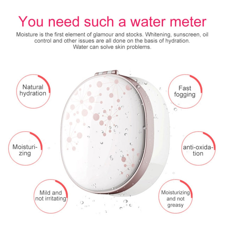 Nano Sprayer Water Replenishing Instrument Charging Mini Portable Humidifier Automatic Alcohol Sprayer with Mirror